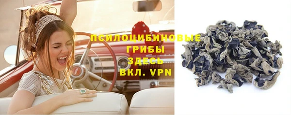 ГАЛЛЮЦИНОГЕННЫЕ ГРИБЫ Алексеевка