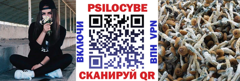 MEGA вход Новочеркасск Псилоцибиновые грибы Psilocybine cubensis
